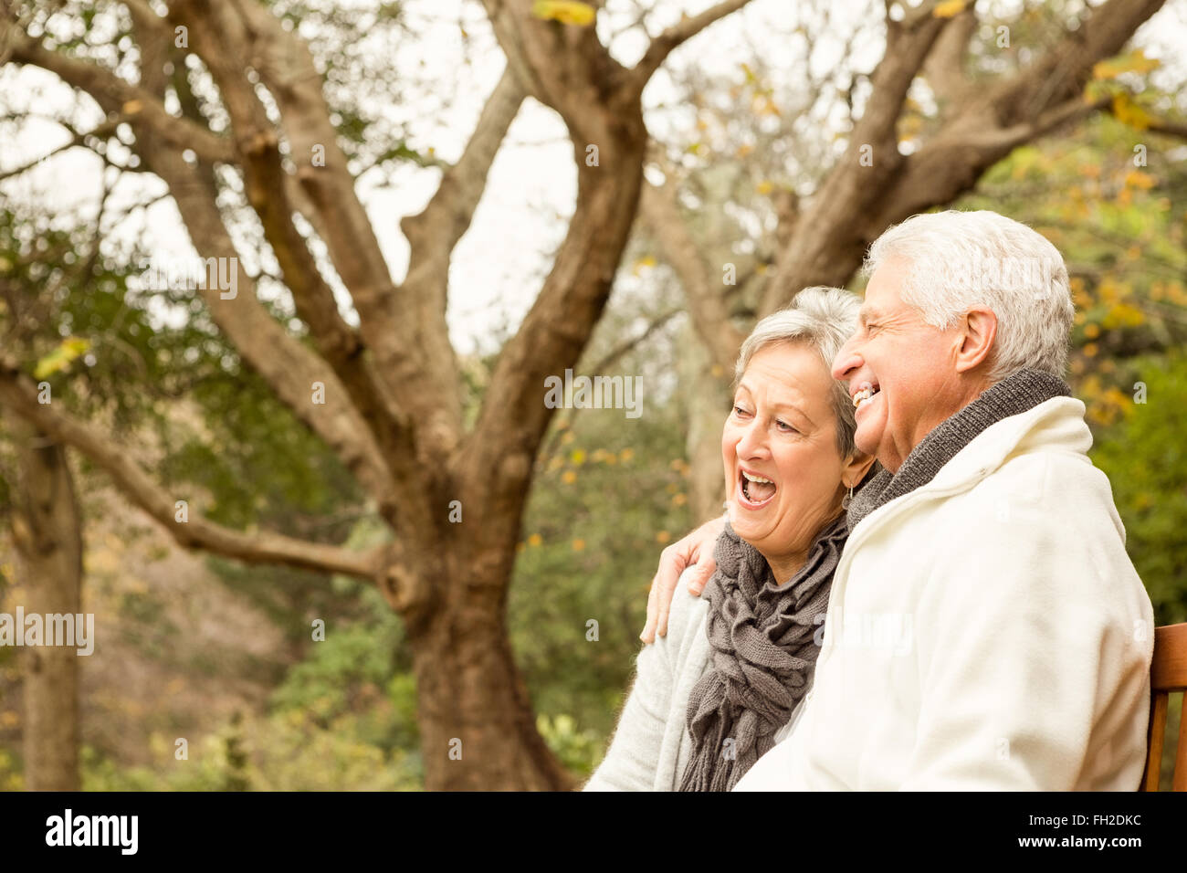Senior couple in the park Stock Photo - Alamy