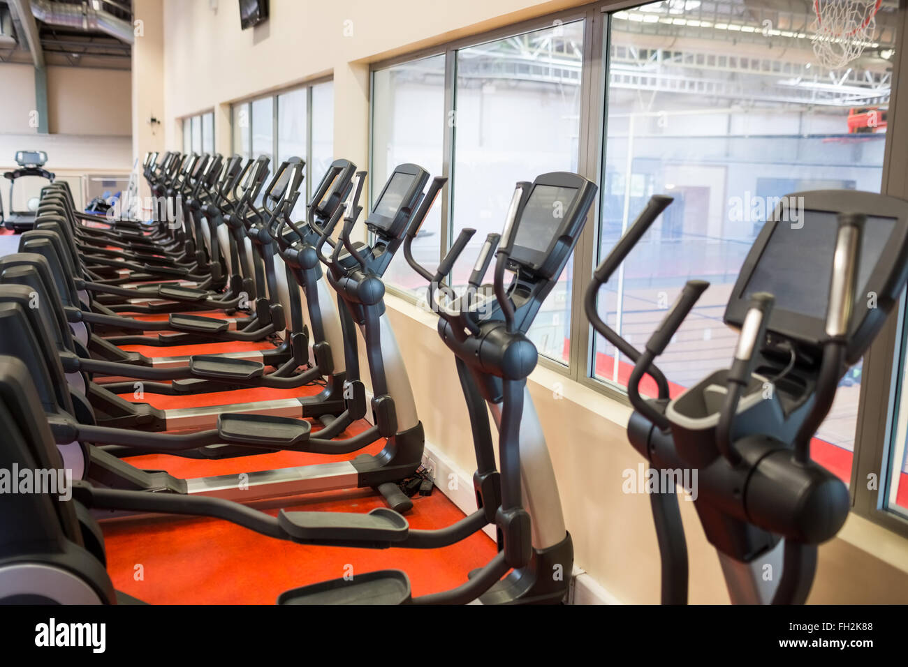 Collection of cross trainer machines in a row Stock Photo Alamy