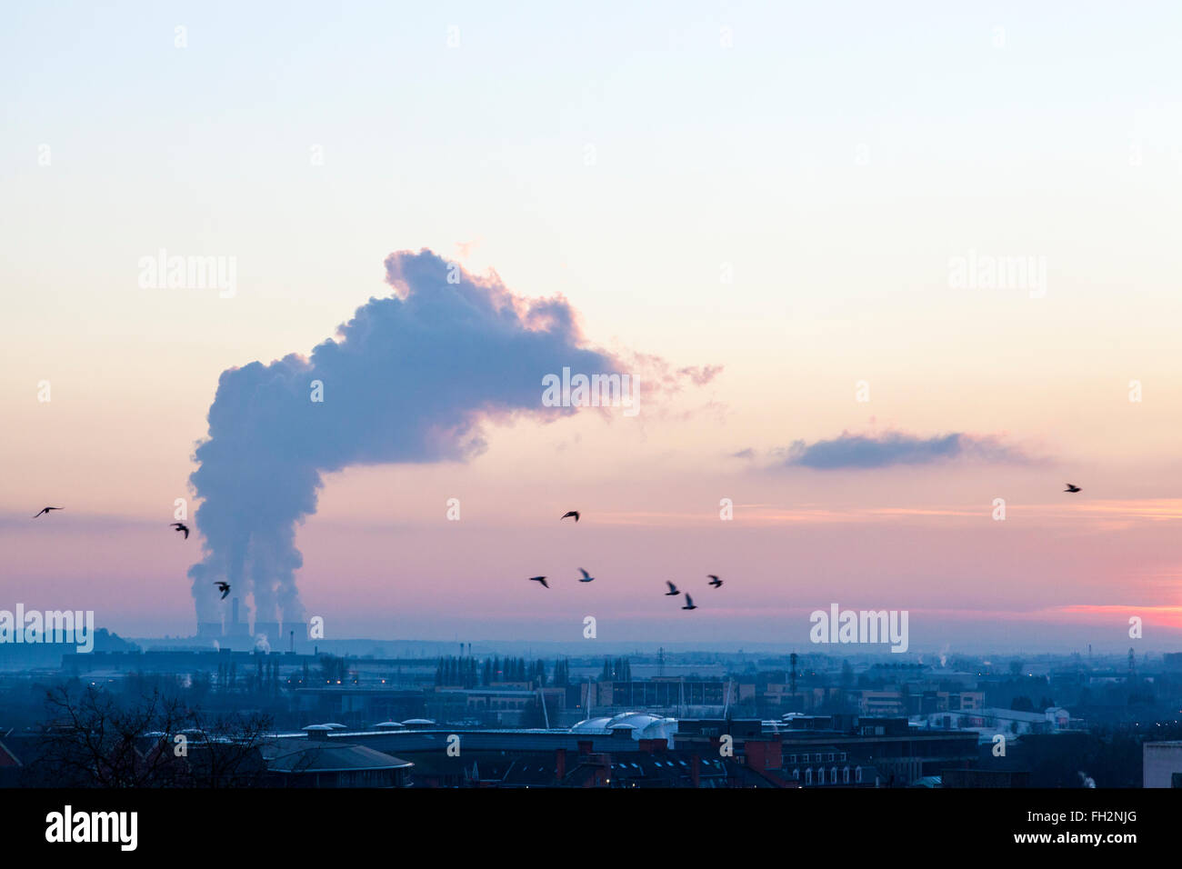 Climate change. Birds flying over Nottingham against an evening sky with greenhouse gas emissions from a power station, Nottinghamshire, England, UK Stock Photo
