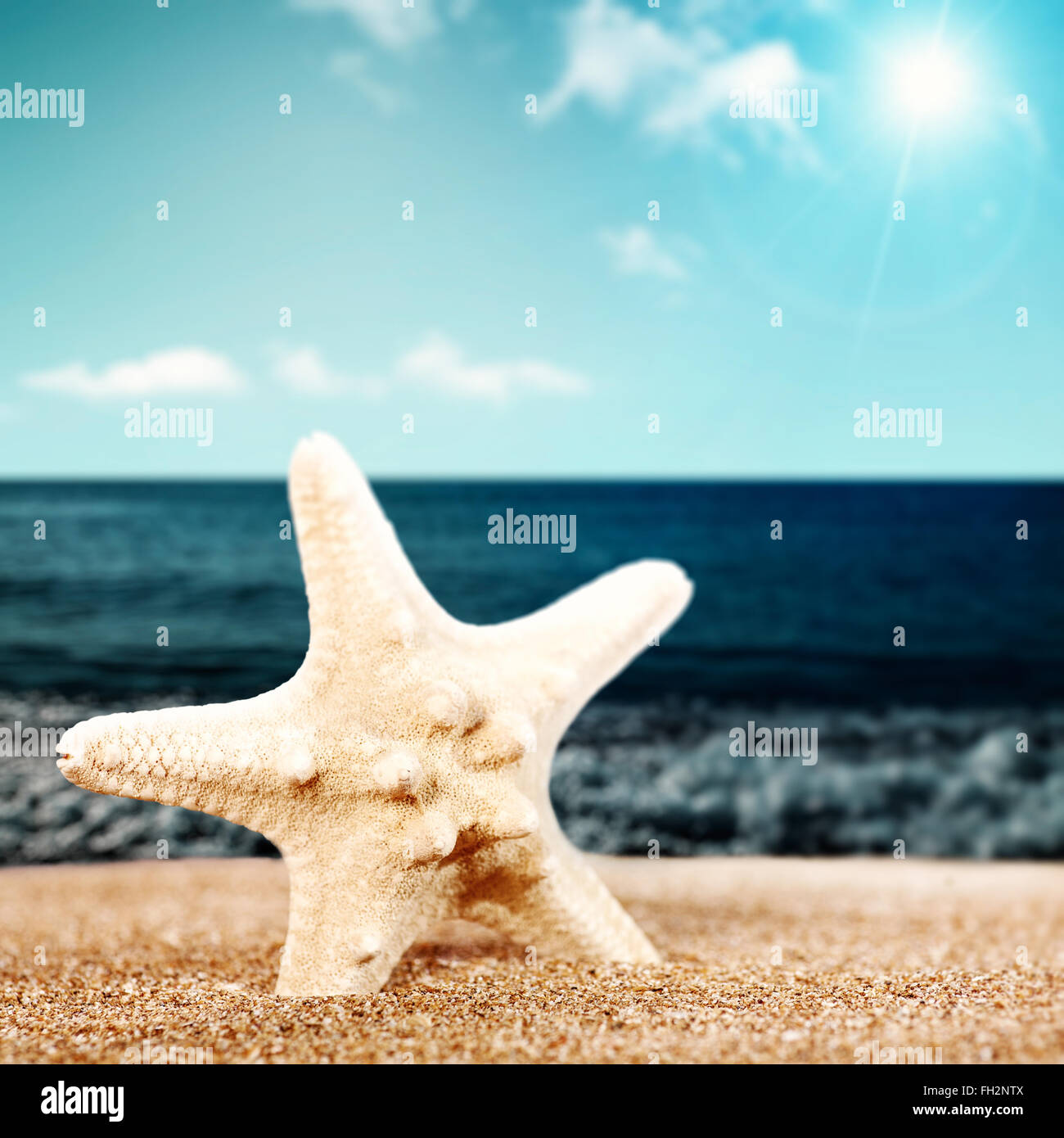 Summer relax, abstract vacation backgrounds with beach, starfish and ...