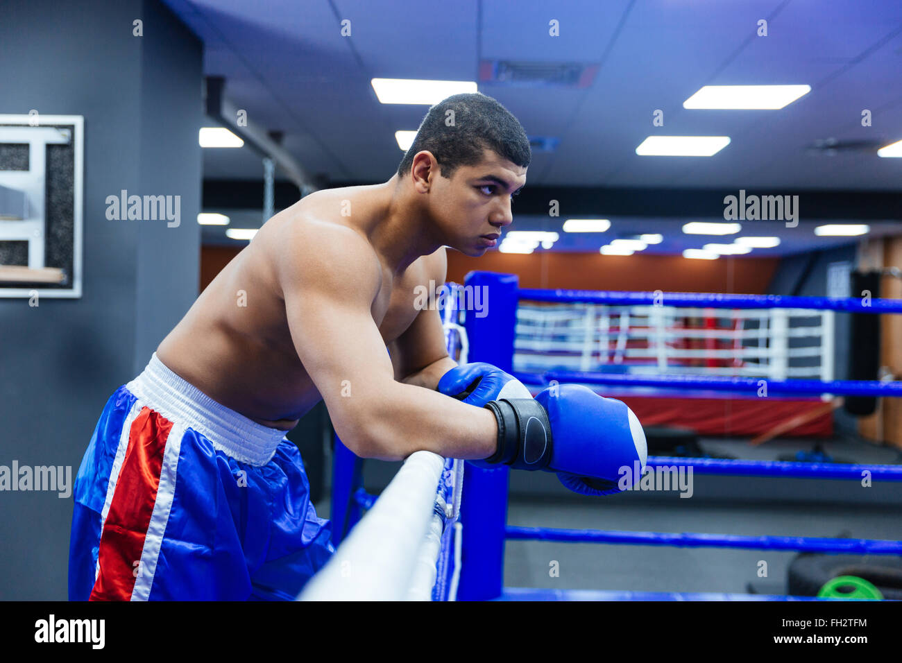 Handsome male boxer standing in gym Stock Photo Alamy