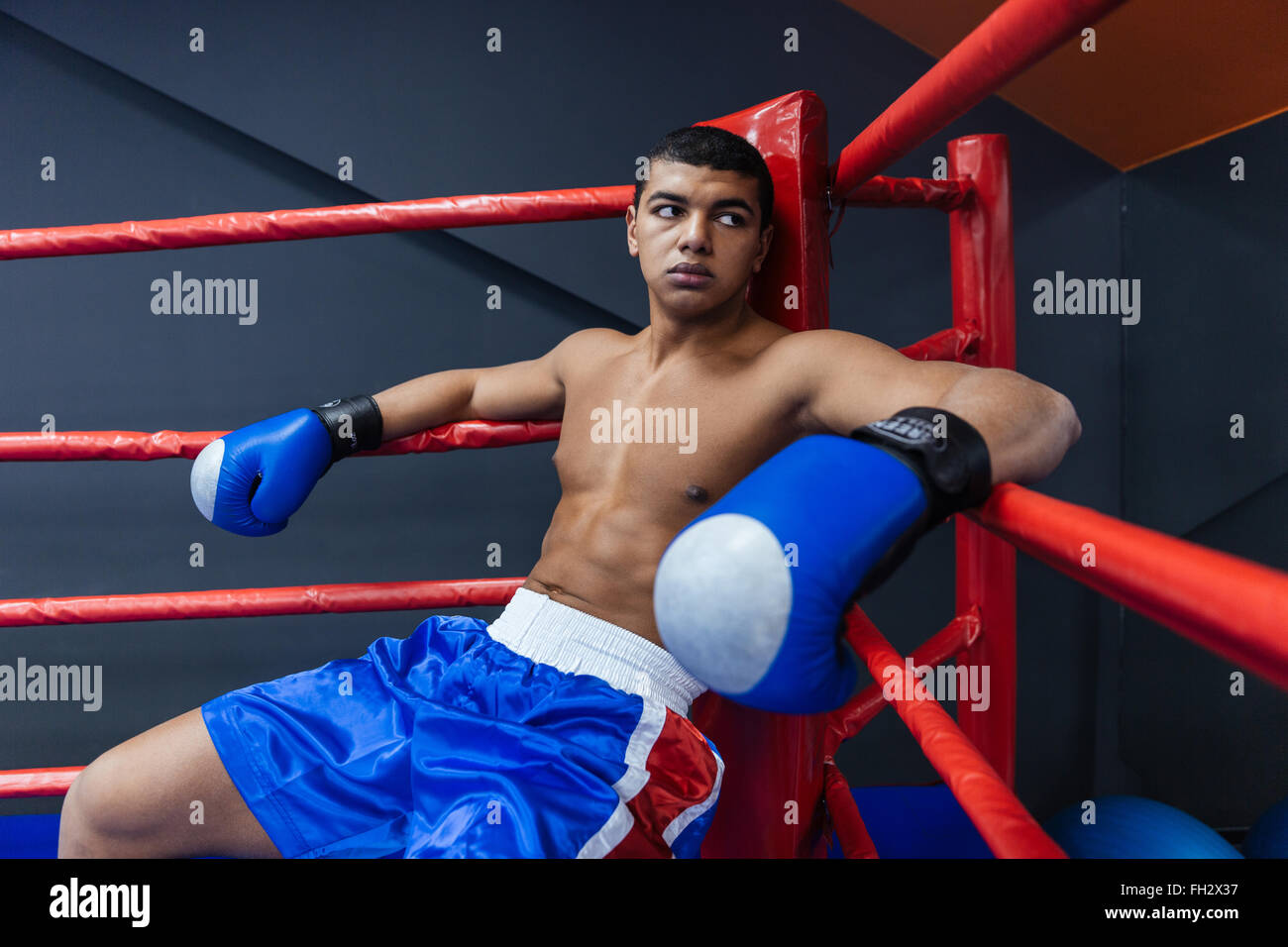 Male boxer sitting in the corner of the boxing ring Stock Photo Alamy