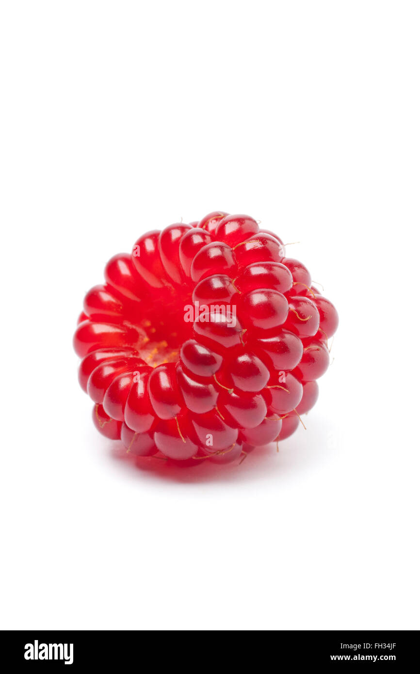 One whole single red edible Japanese Wineberries Rubus phoenicolasius on white background Stock Photo