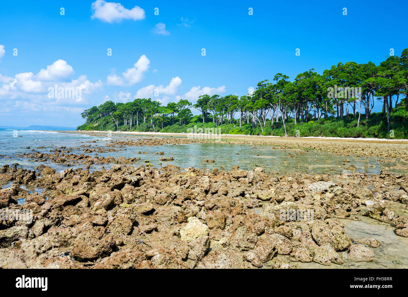 Coral rocks exposed in Neil island, Andaman, India Stock Photo