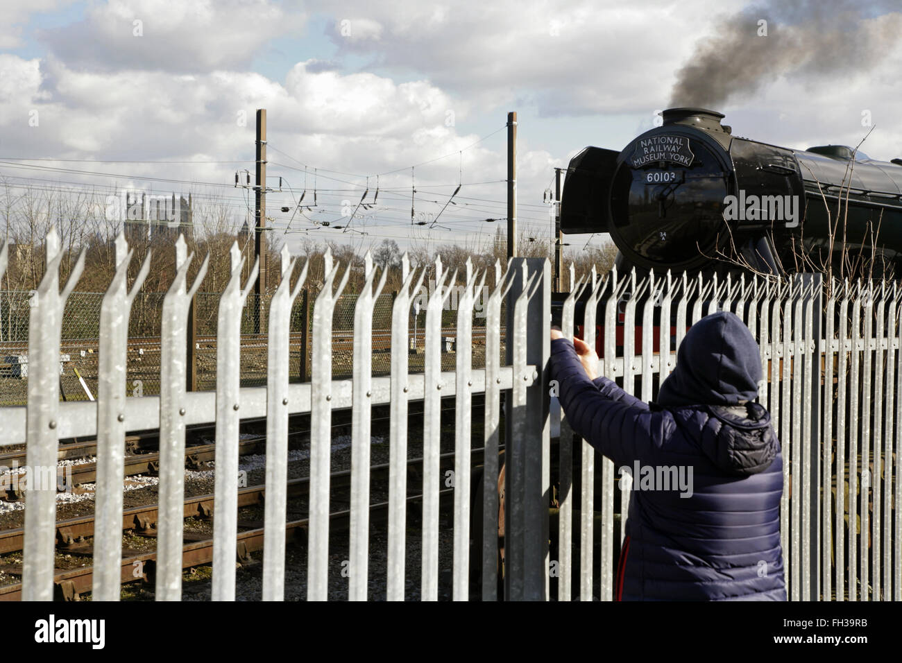 York, UK. 23rd February, 2016. A spectator watches as the newly restored LNER A3 class locomotive “Flying Scotsman” prepares to travel from York to Scarborough on a final test run before its inaugural comeback journey from London King's Cross to York on Thursday 25 February. The locomotive, owned by the National Railway Museum (NRM), has been fully restored at a cost of £4.2 million and in addition to featuring in a new exhibition at the NRM's York location will be hauling special trains throughout the UK in the coming months. Credit:  david soulsby/Alamy Live News Stock Photo