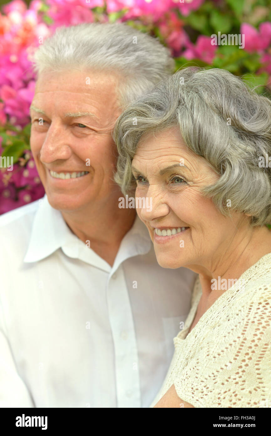 Senior couple in summer park Stock Photo - Alamy