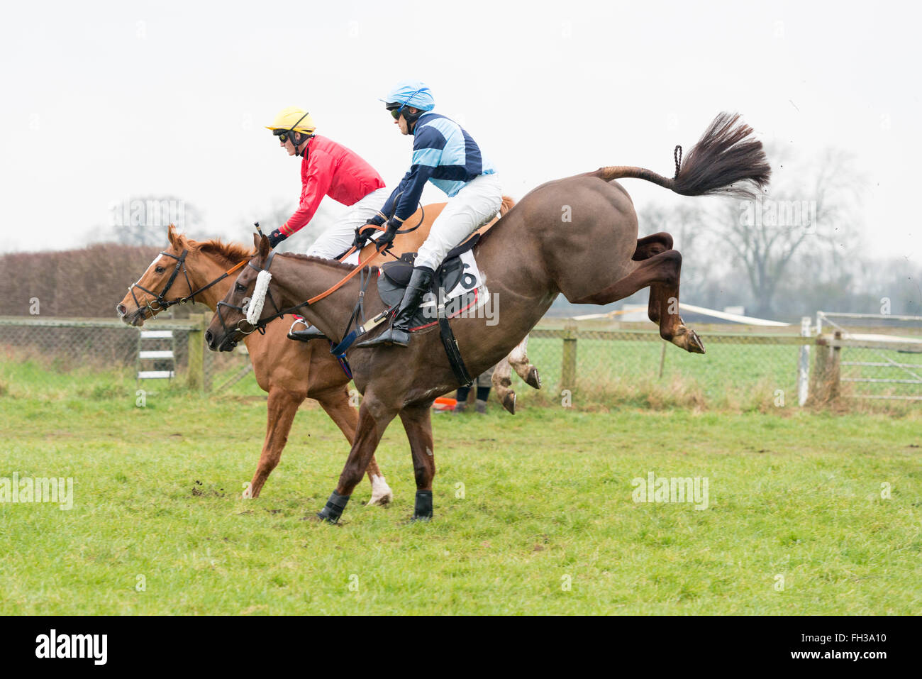 Horses racing jumping a fence in a point to point horse race at