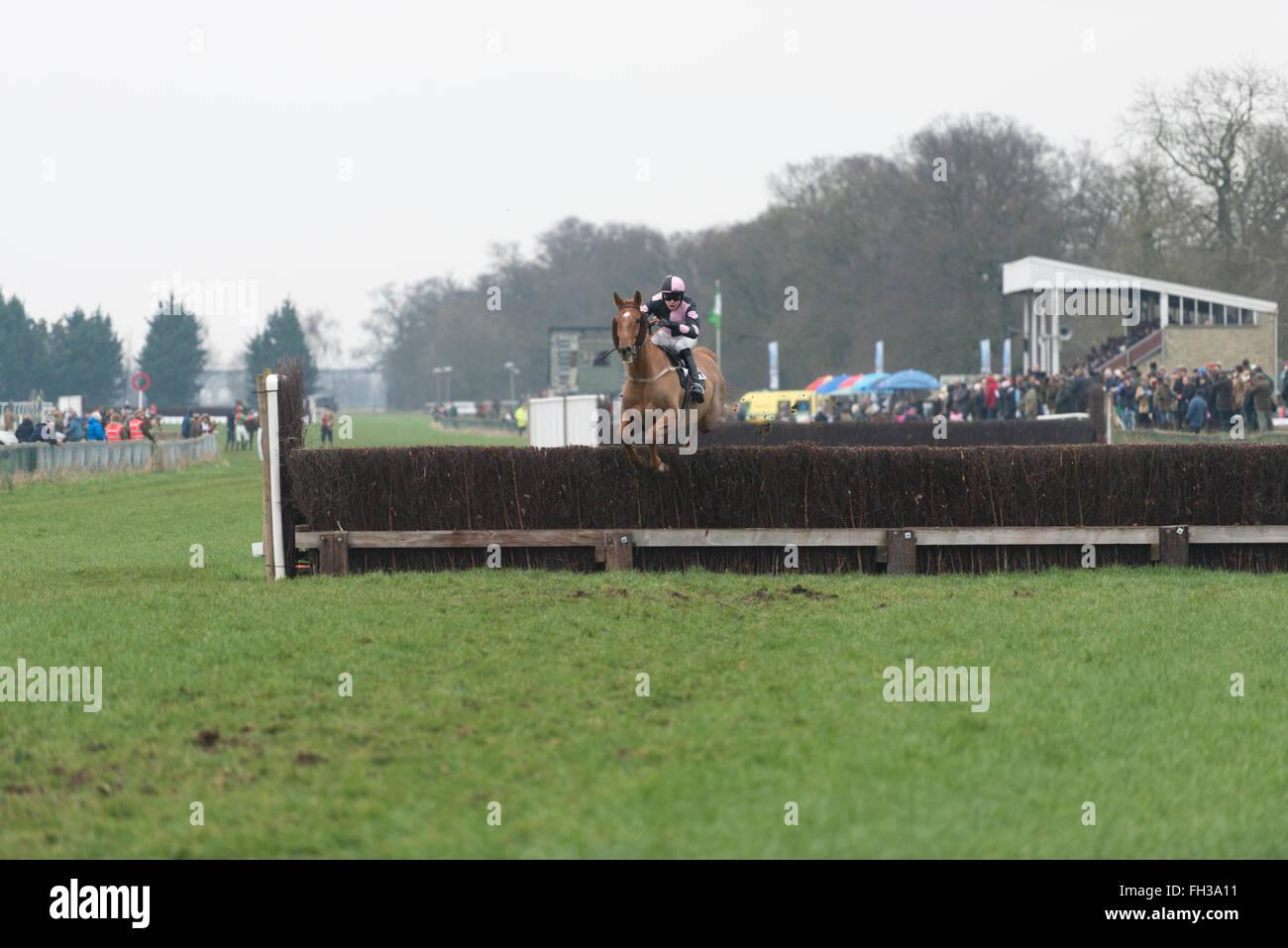 Horses racing jumping a fence in a point to point horse race at