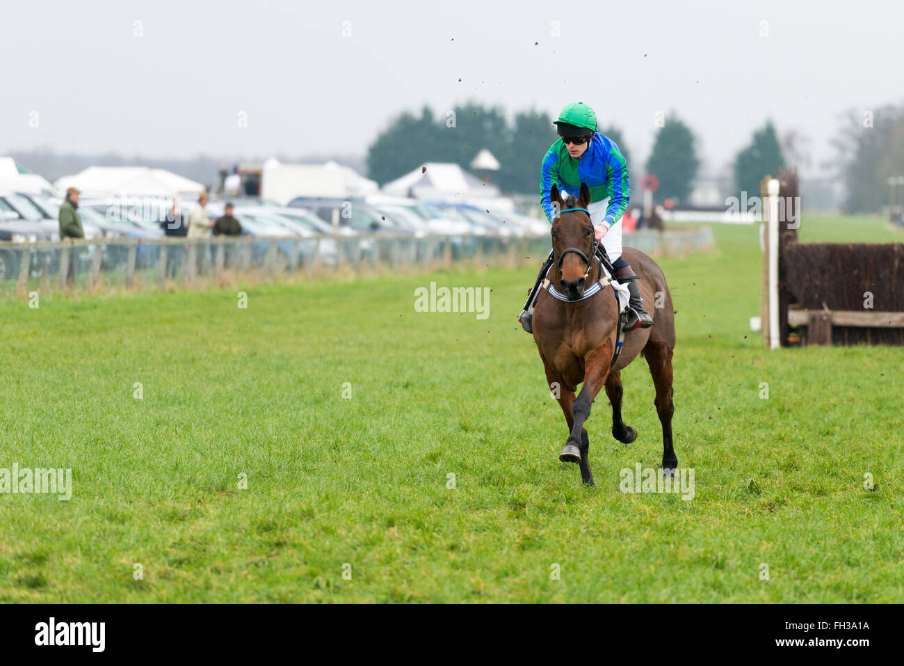 Horses racing in a point to point horse race at Cottenham