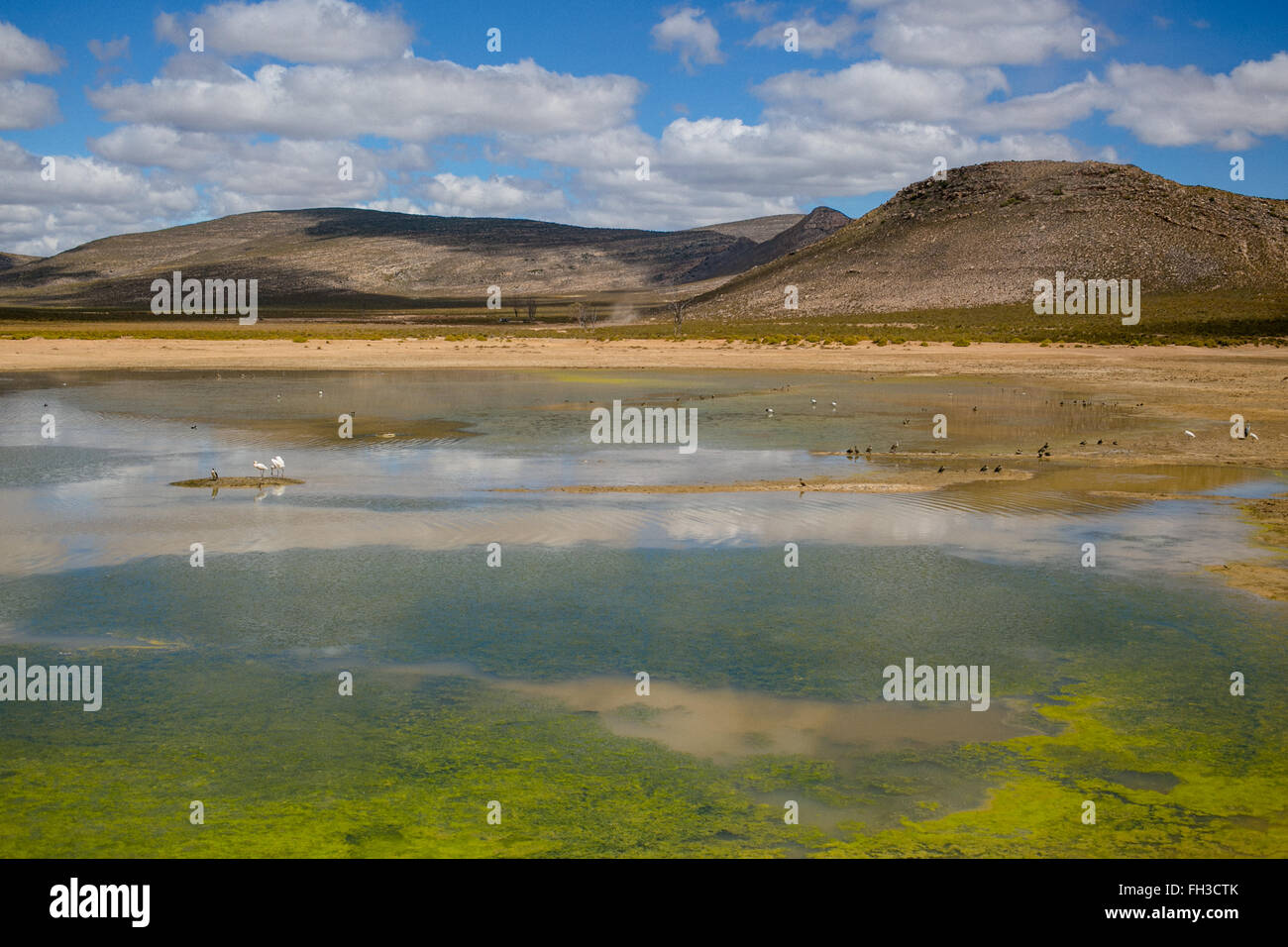 Water and mountain landscape safari in South Africa Stock Photo