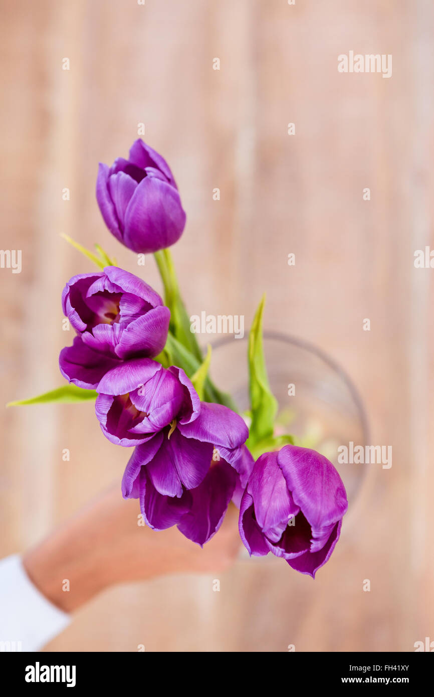 Woman putting a flowers in a vase Stock Photo Alamy