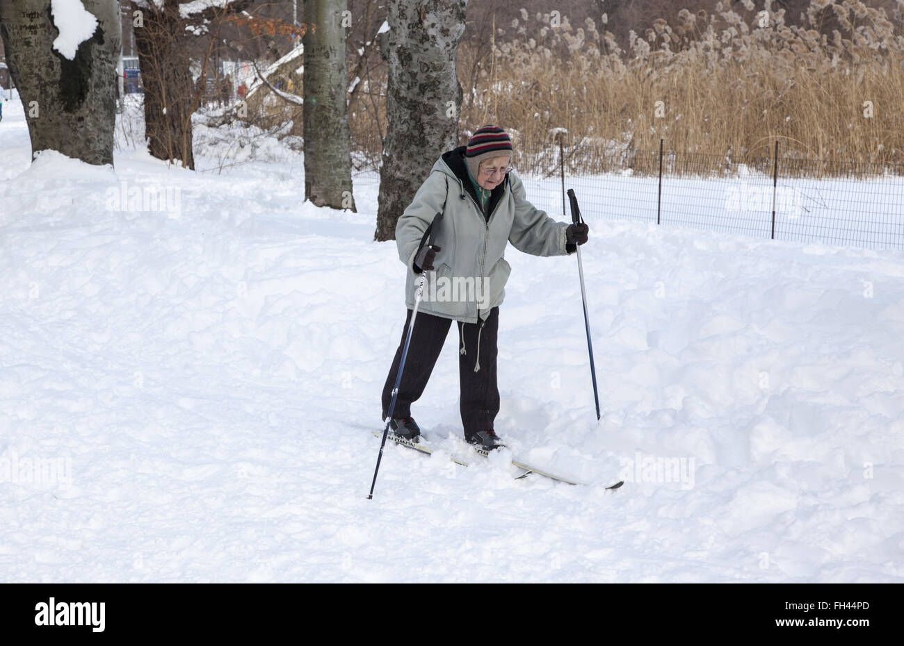 Older woman, still cross country skiing after a big snow storm. Prospect Park, Brooklyn, NY. Stock Photo