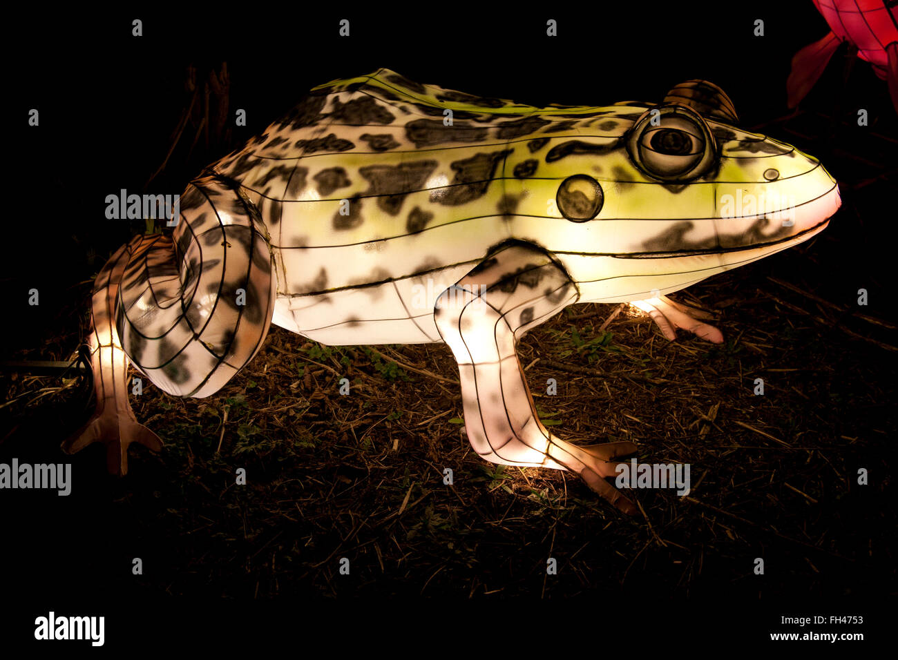 The Magical Lantern Festival Chiswick Park, Burlington Lane, Chiswick