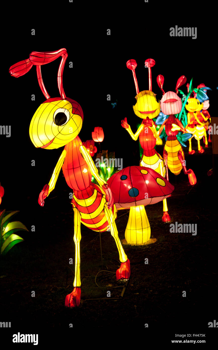 The Magical Lantern Festival Chiswick Park, Burlington Lane, Chiswick