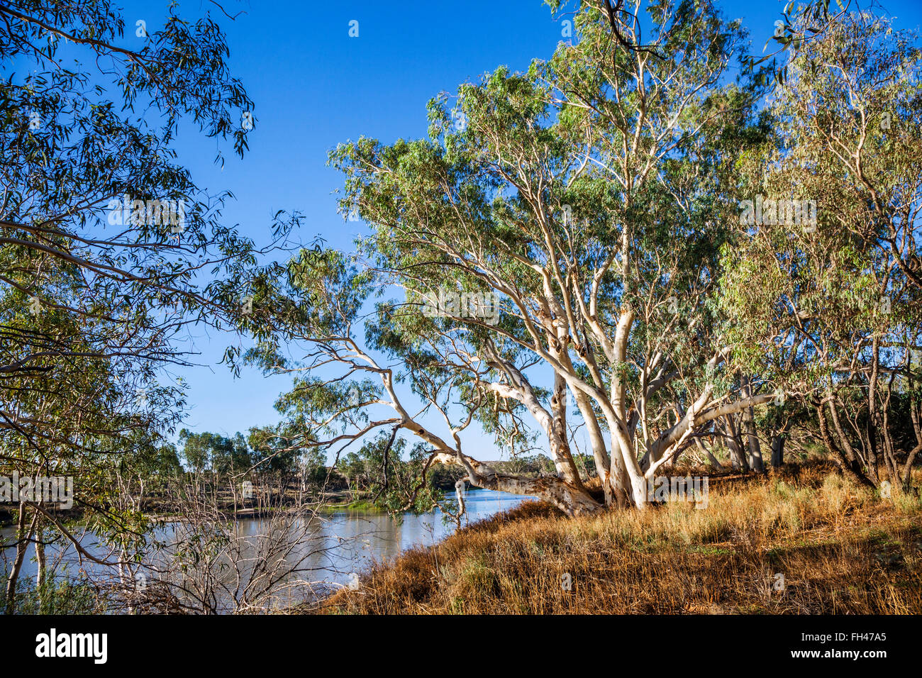 South Australia, view of Cooper Creek near the Burke Memorial at Innamincka in the South Australian Channel Country Stock Photo