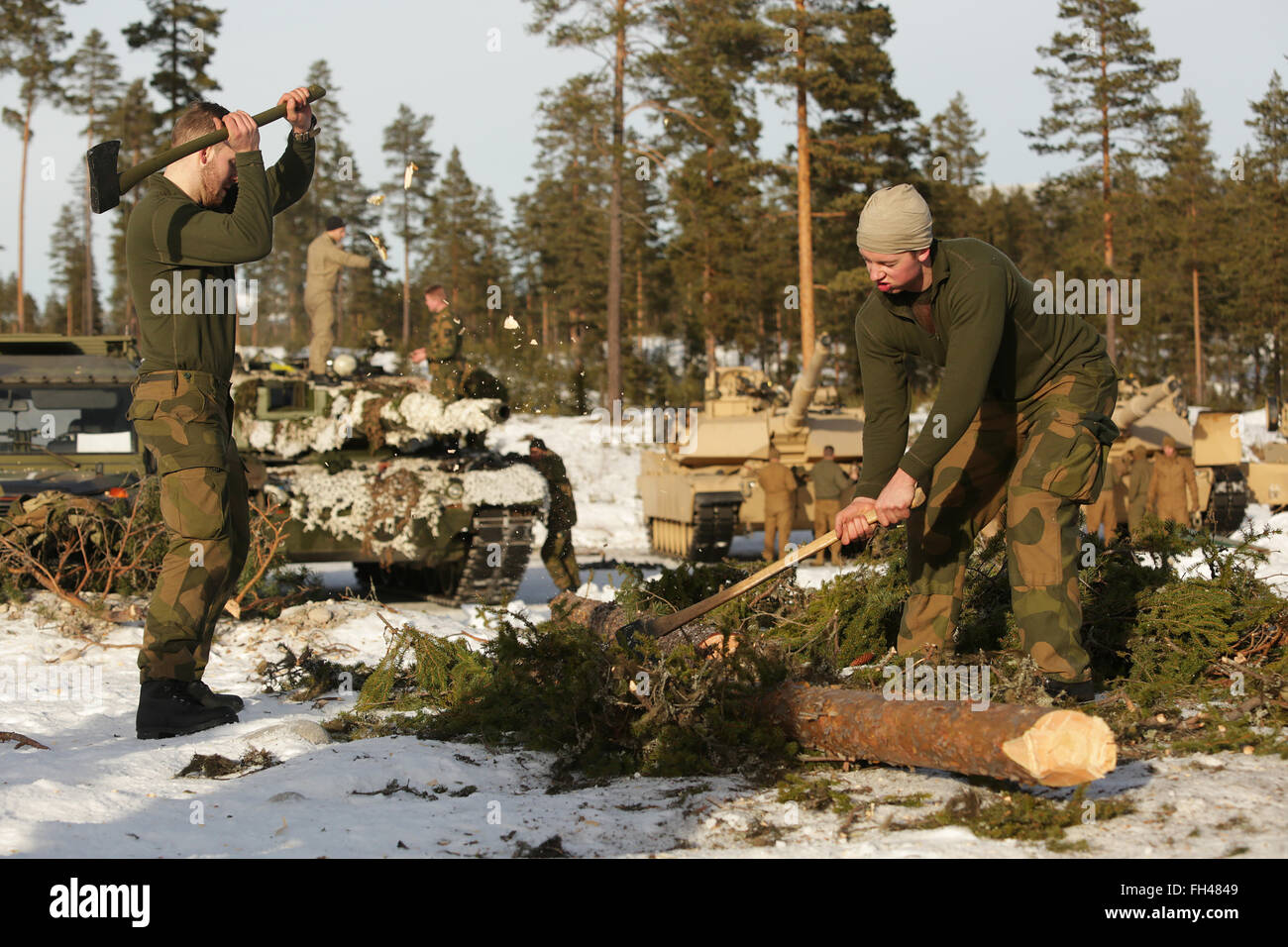 Members of the Norwegian Army's Telemark Battalion chop wood for a campfire during training in Rena, Norway, Feb. 18, 2016. The Marines and Norwegian Army are working together as part of Exercise Cold Response, a joint NATO and allied country exercise comprised of 12 countries and approximately 16,000 troops. The Combined Arms Company is comprised of multiple vehicles with multiple capabilities, including amphibious assault vehicles, M1A1 Abrams Main Battle Tanks and light armored vehicles.  Stock Photo