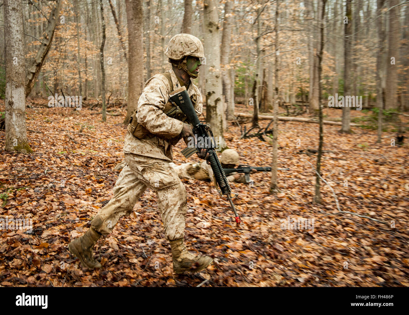 Candidates assigned to Delta Company, Officer Candidates Class-221, are evaluated as members of a fire team during the Small Unit Leadership Evaluation 1 at Brown Field, Marine Corps Base Quantico, Va., on Feb. 22, 2016. The mission of Officer Candidates School (OCS) is to 'educate and train officer candidates in Marine Corps knowledge and skills within a controlled, challenging, and chaotic environment in order to evaluate and screen individuals for the leadership, moral, mental, and physical qualities required for commissioning as a Marine Corps officer.' Stock Photo