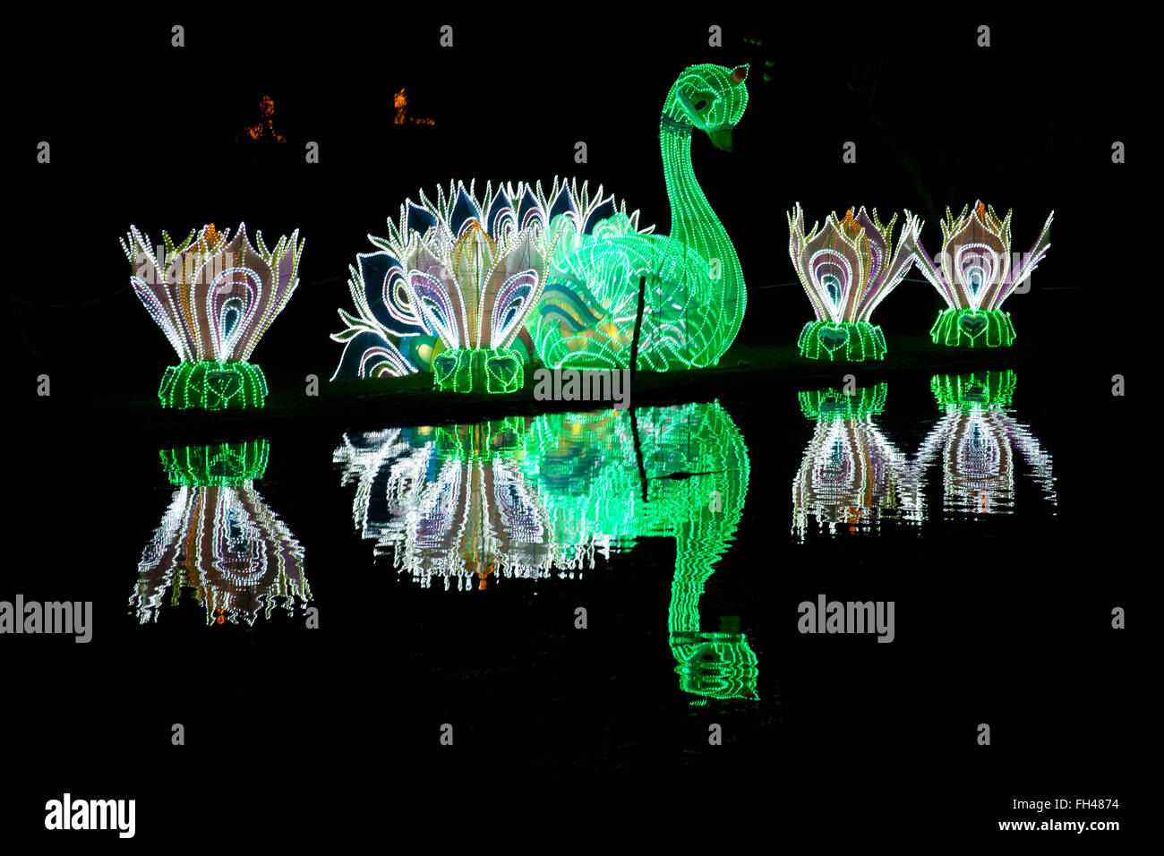 The Magical Lantern Festival Chiswick Park, Burlington Lane, Chiswick