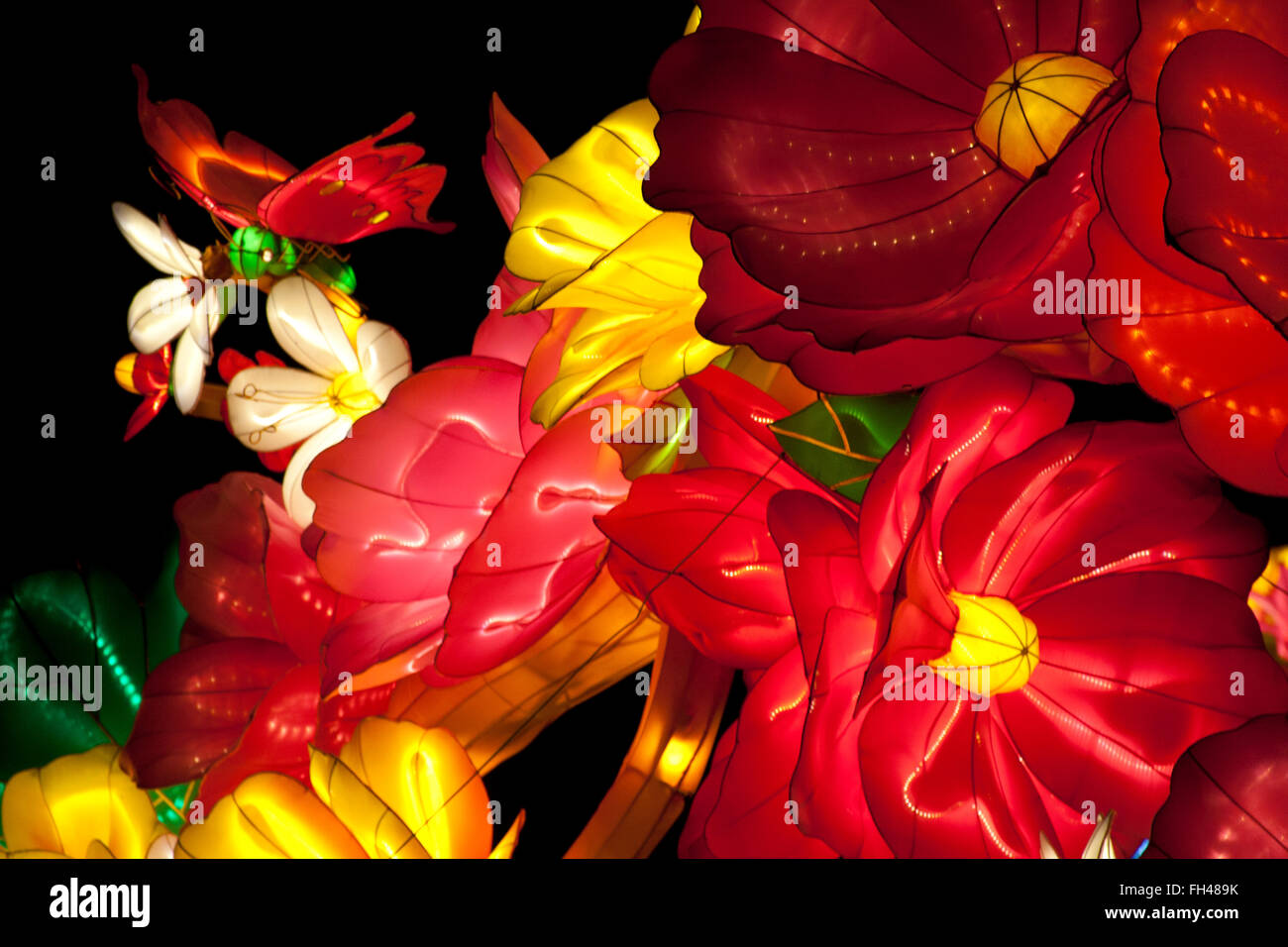 The Magical Lantern Festival Chiswick Park, Burlington Lane, Chiswick