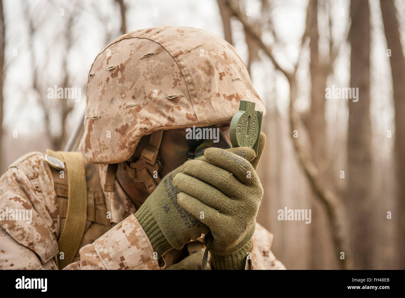 Candidates assigned to Delta Company, Officer Candidates Class-221, are evaluated as members of a fire team during the Small Unit Leadership Evaluation 1 at Brown Field, Marine Corps Base Quantico, Va., on Feb. 22, 2016. The mission of Officer Candidates School (OCS) is to 'educate and train officer candidates in Marine Corps knowledge and skills within a controlled, challenging, and chaotic environment in order to evaluate and screen individuals for the leadership, moral, mental, and physical qualities required for commissioning as a Marine Corps officer.' Stock Photo