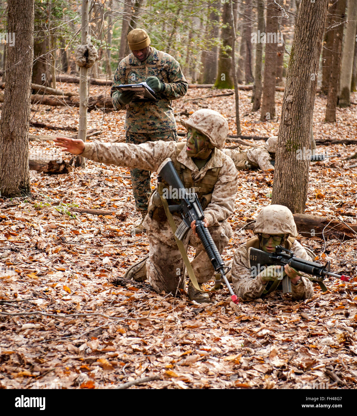 Candidates assigned to Delta Company, Officer Candidates Class-221, are evaluated as members of a fire team during the Small Unit Leadership Evaluation 1 at Brown Field, Marine Corps Base Quantico, Va., Feb. 22, 2016. The mission of Officer Candidates School (OCS) is to 'educate and train officer candidates in Marine Corps knowledge and skills within a controlled, challenging, and chaotic environment in order to evaluate and screen individuals for the leadership, moral, mental, and physical qualities required for commissioning as a Marine Corps officer.' Stock Photo