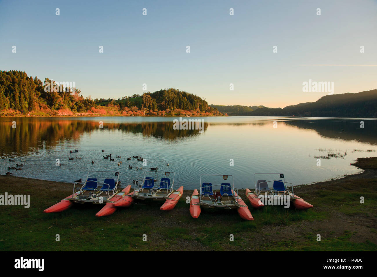 Furnas lake at sunset. Sao Miguel island, Azores islands, Portugal. Stock Photo