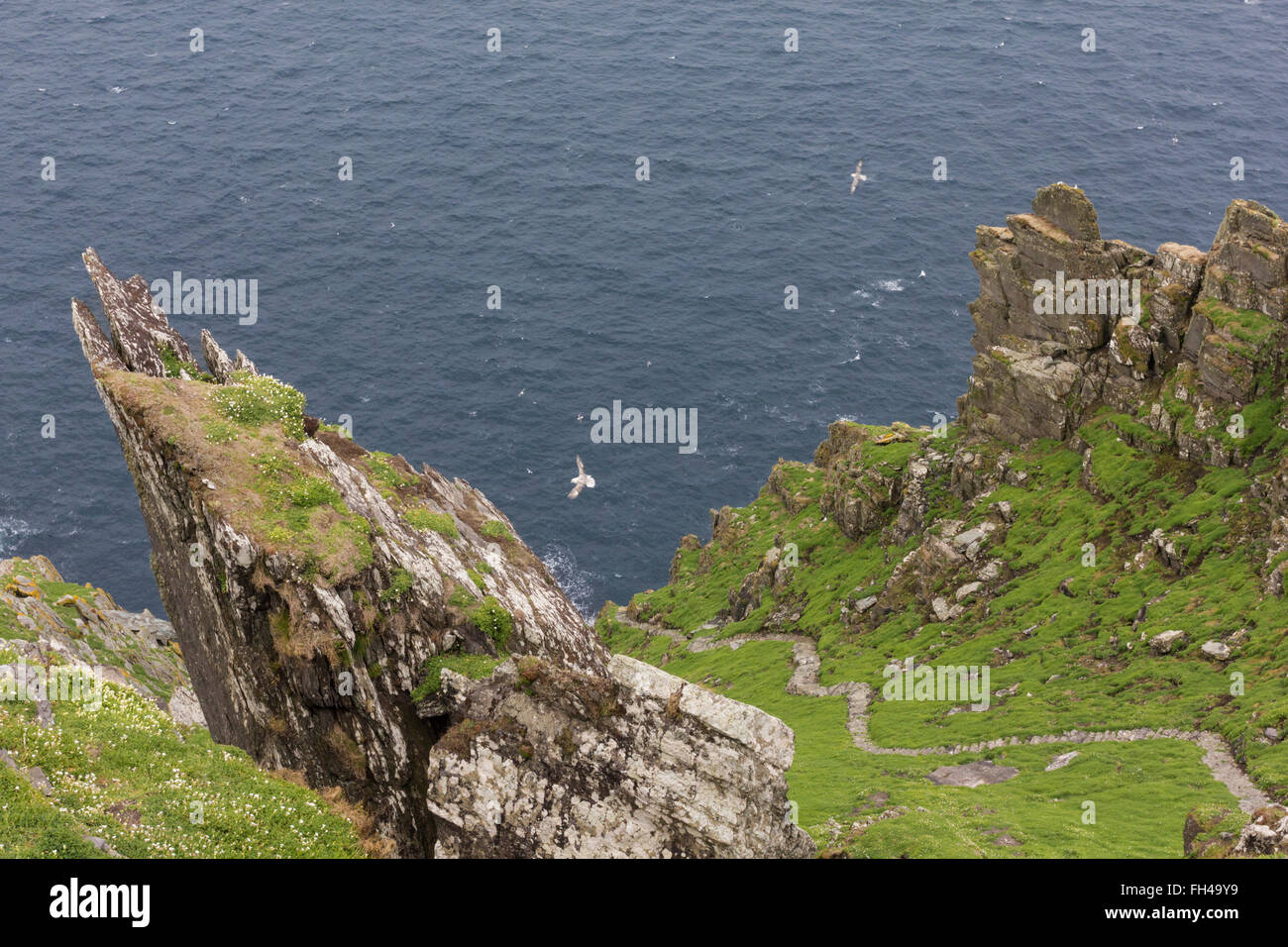 gulls over crags of Skellig Michael, Atlantic ocean, Ireland, Kerry, Eire Stock Photo