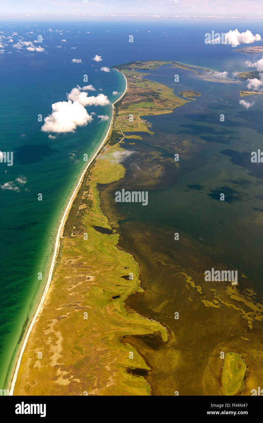 Aerial view, south of the island Hiddensee, nature reserves yells and Gänsewerder, nature reserve dune heath, moorland, Stock Photo
