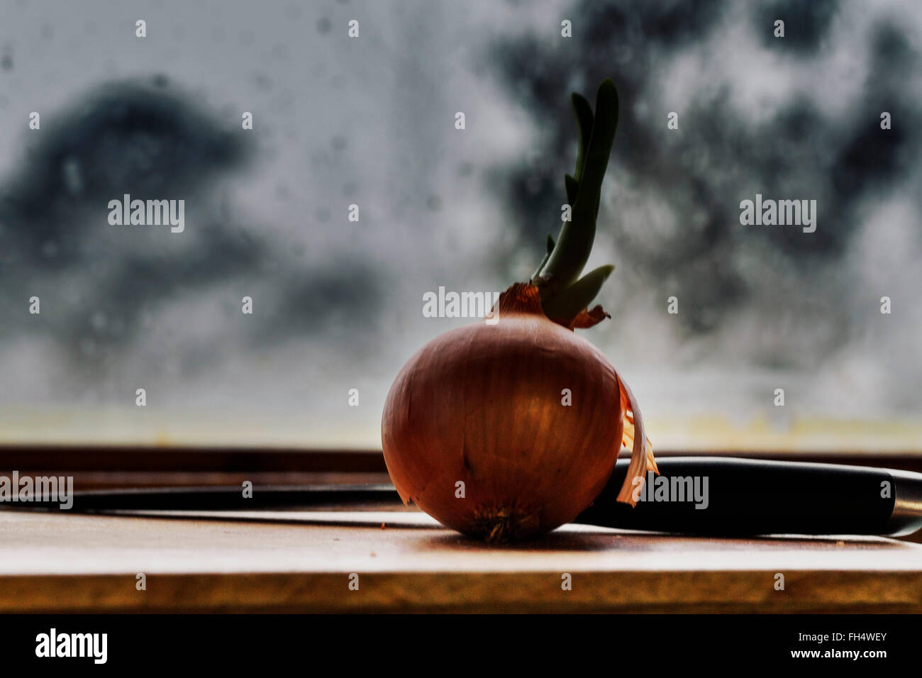 Onion on a chopping board with knife Stock Photo - Alamy