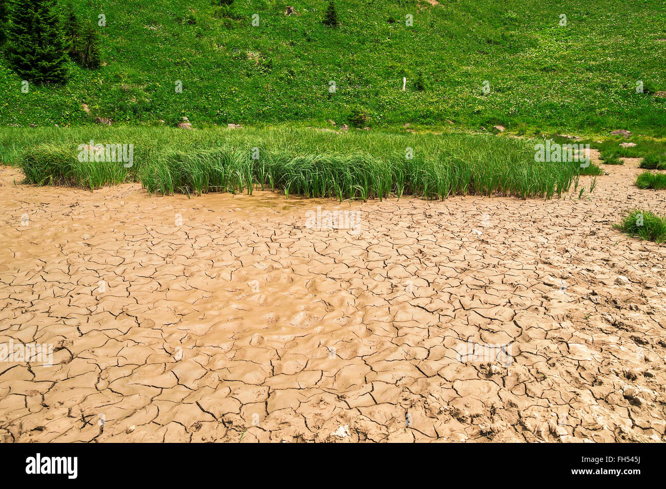 dry lake background environment