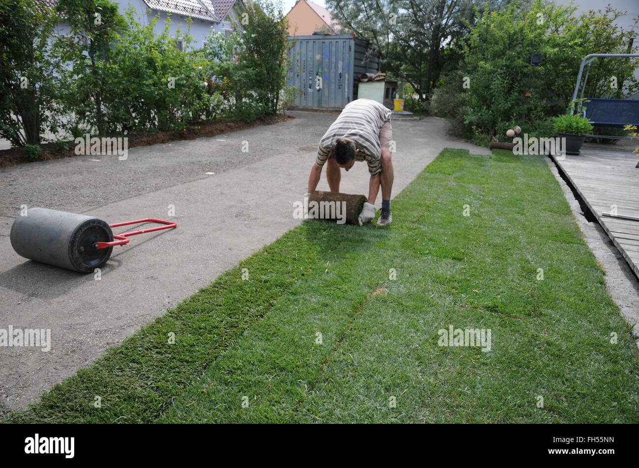 Laying sod, roll out tracks Stock Photo