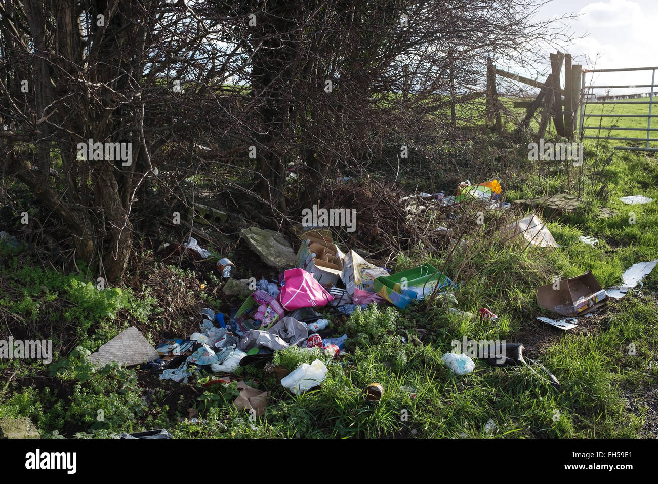 Fly tipping rubbish dumped in the countryside Stock Photo