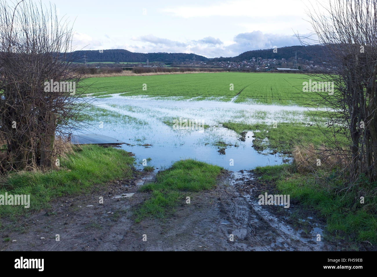 The entrance to a farmers field flooded with water Stock Photo