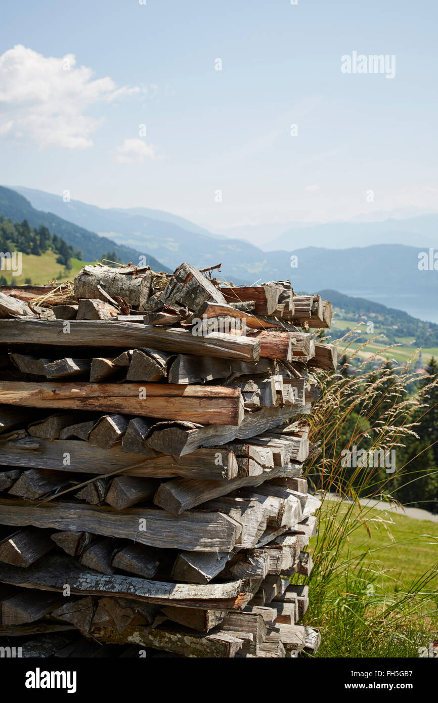 Stack of Logs in Summer, Millstatt, Carinthia, Austria Stock Photo