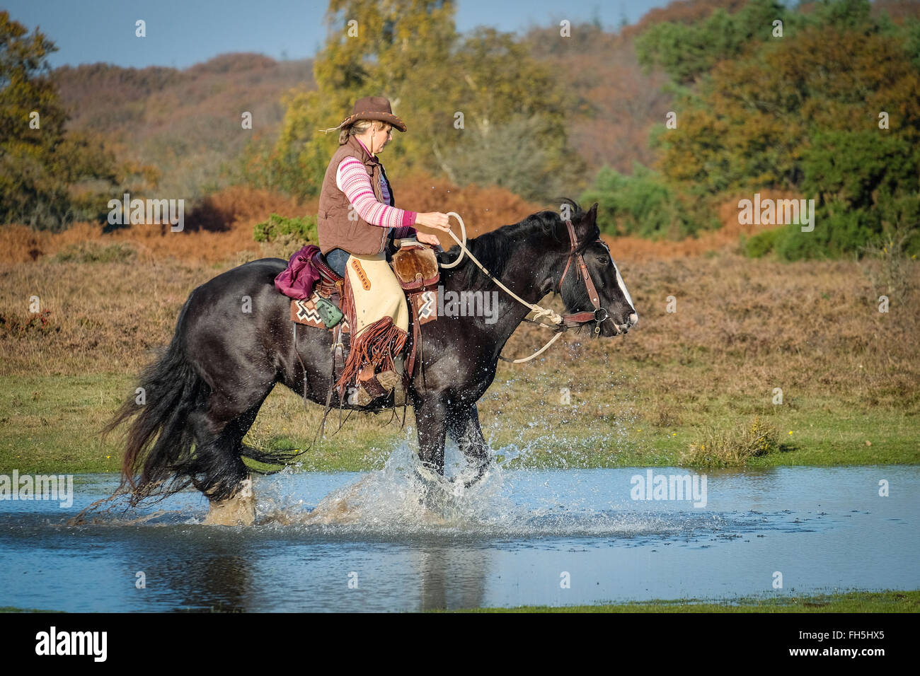 A woman riding a horse in the New Forest National Park, Hampshire Stock Photo