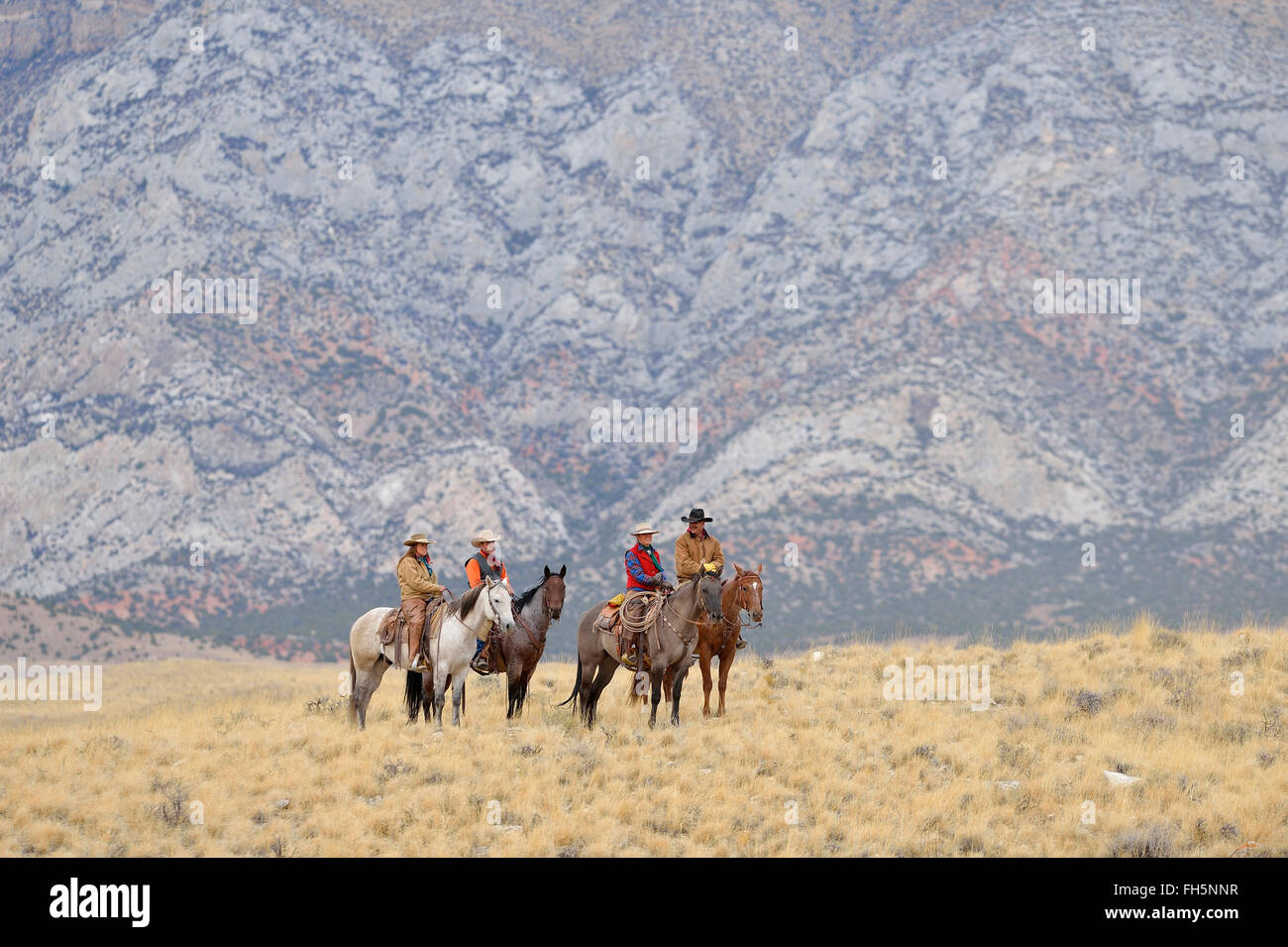 Cowboys and Cowgirls riding horses in wlderness, Rocky Mountains,Wyoming, USA Stock Photo