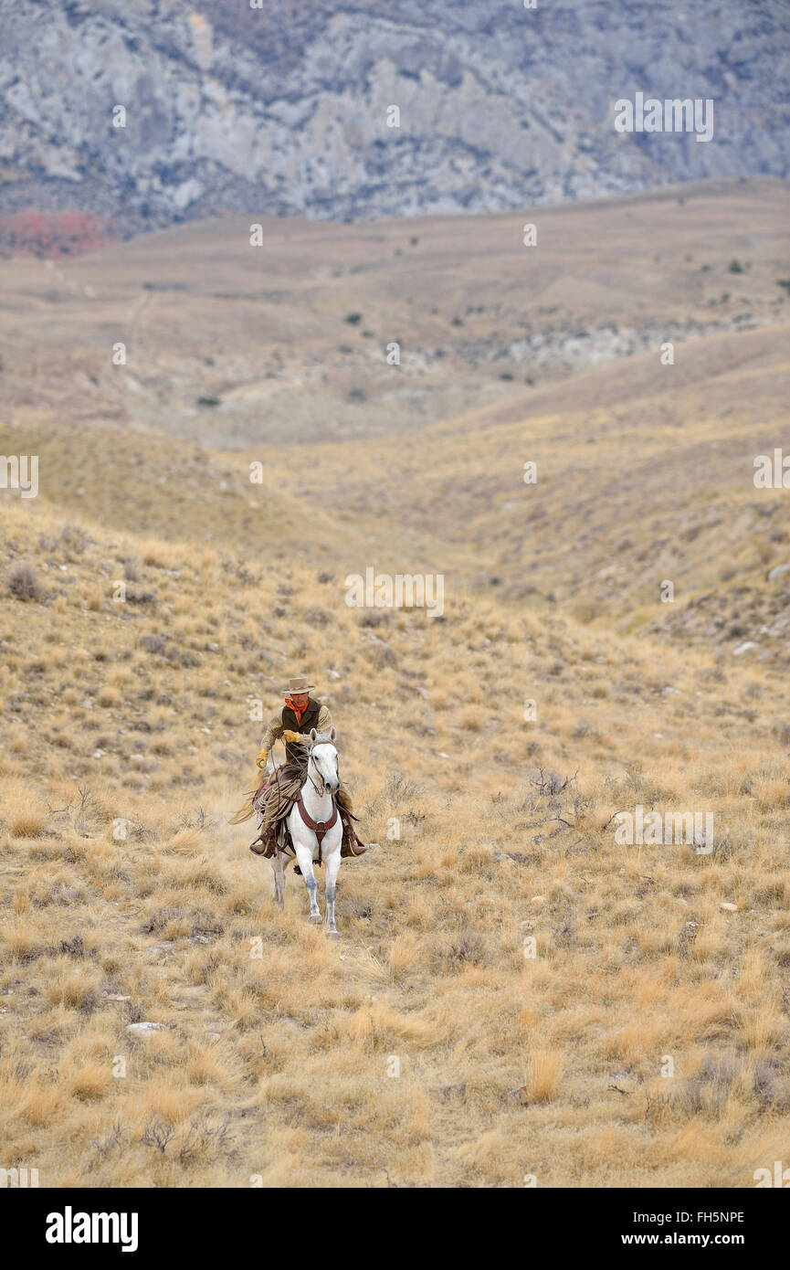 Cowboy riding horse in wilderness, Rocky Mountains, Wyoming, USA Stock Photo