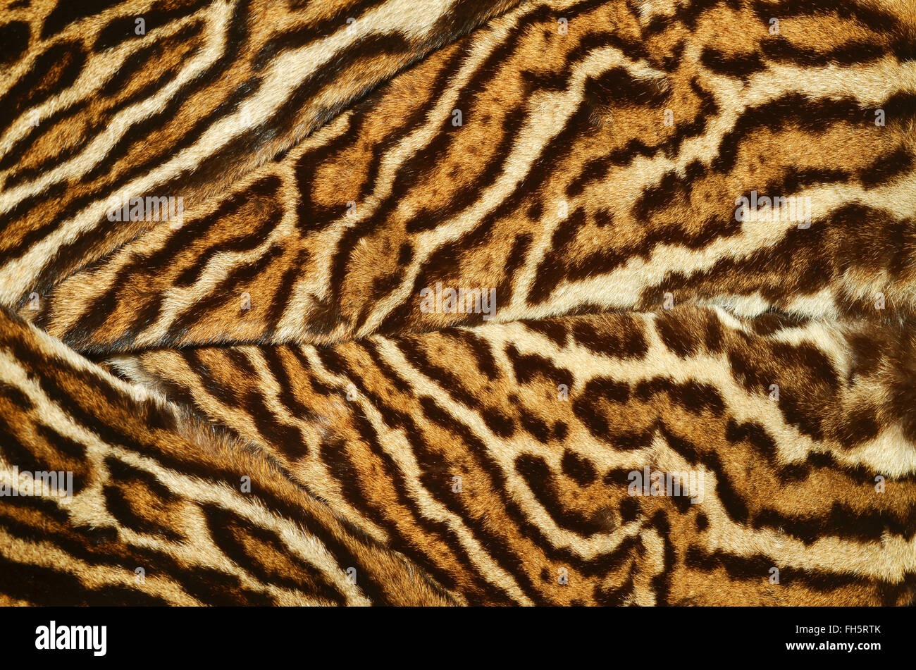 Fur coat texture sale