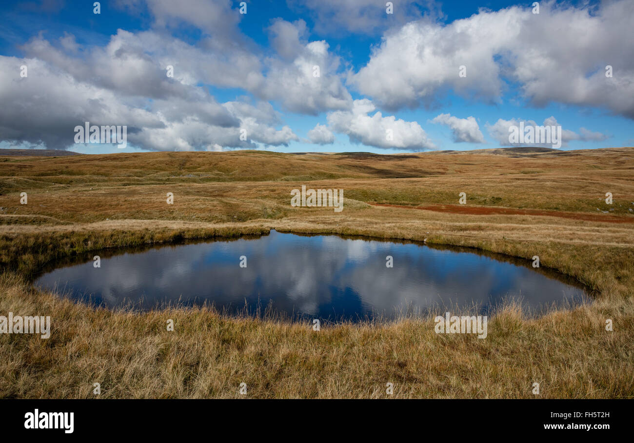 Moorland pool in a sink hole on the Brecon Beacons Wales UK near Fan Hir and Llyn y Fan Fawr Stock Photo