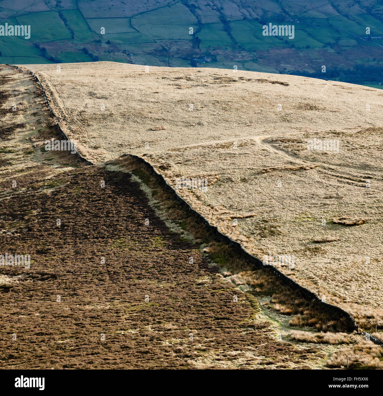Boundary wall snaking across rough grass moorland on the slopes of Kinder Scout near Edale in the Derbyshire Peak District UK Stock Photo