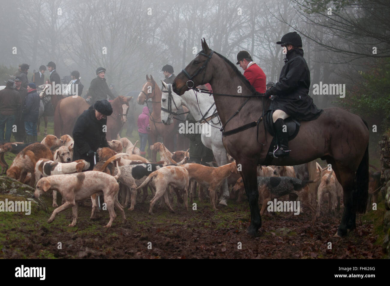 The South Devon boxing day hunt Stock Photo - Alamy