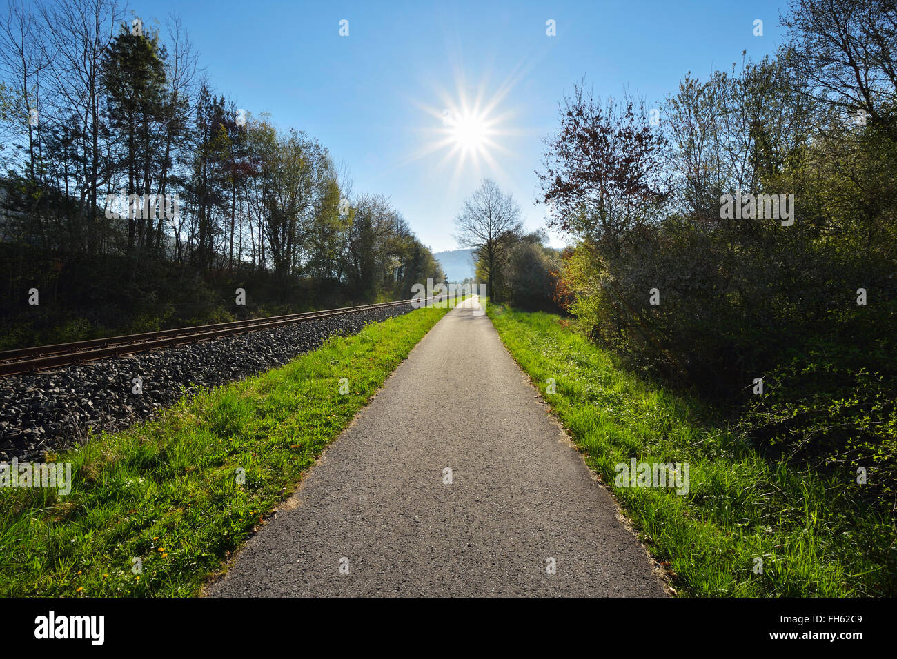 Cycle Path with Sun in Spring, Faulbach, Churfranken, Spessart, Miltenberg-District, Bavaria, Germany Stock Photo