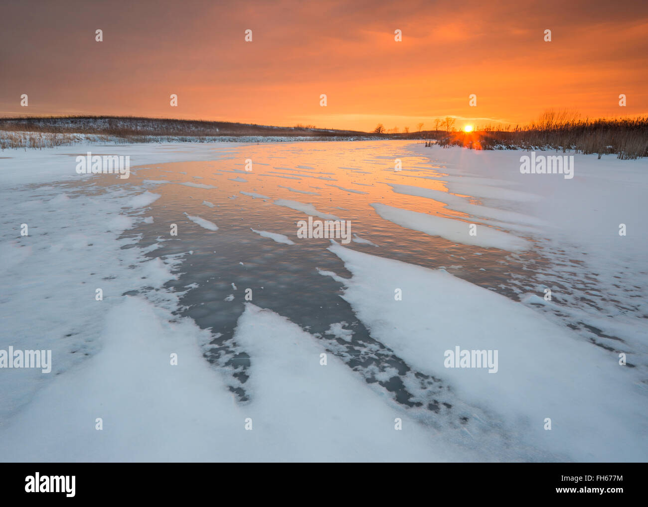 Springbrook prairie nature preserve hi-res stock photography and images ...