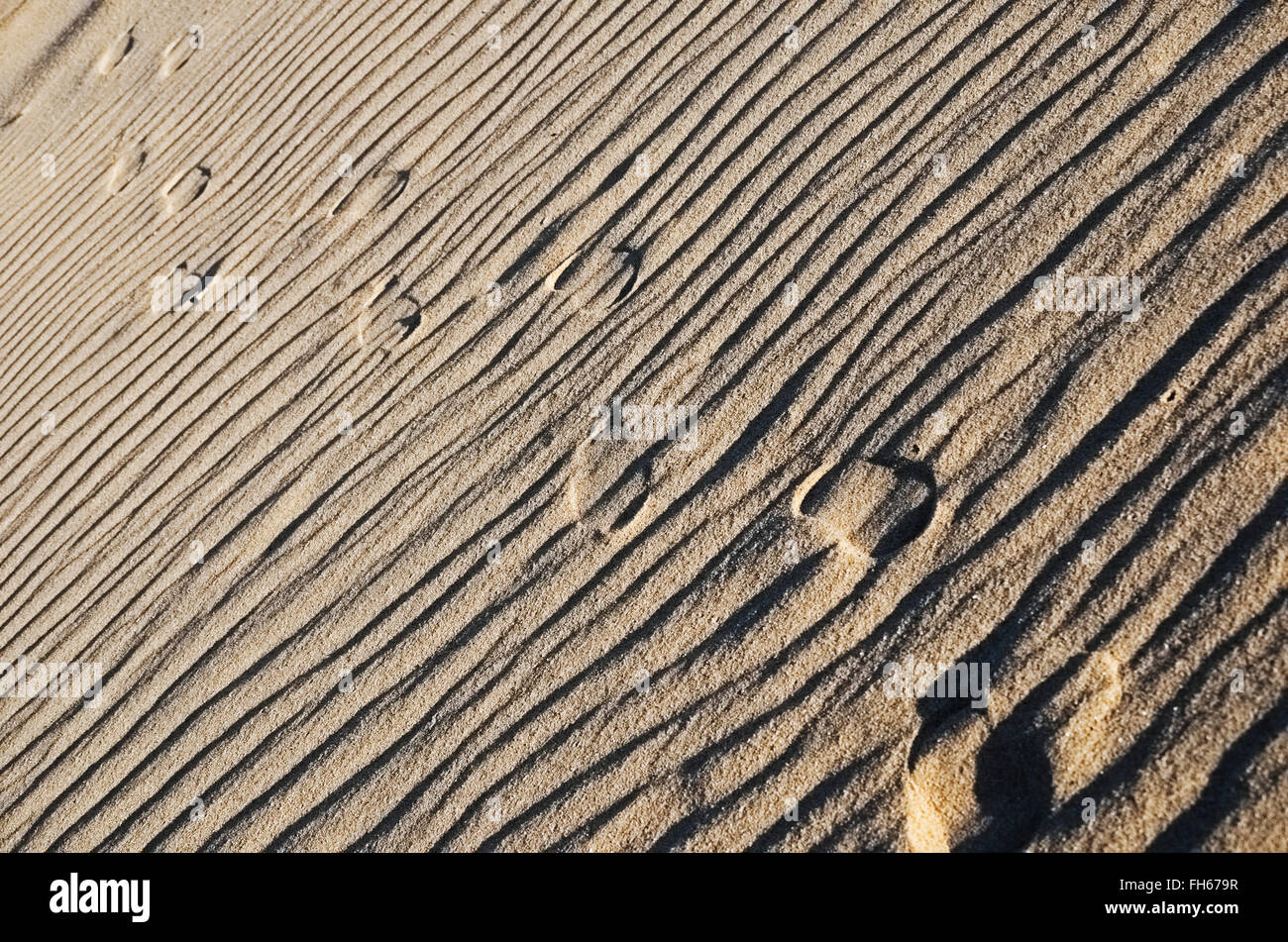 footprint on sandy beach Stock Photo