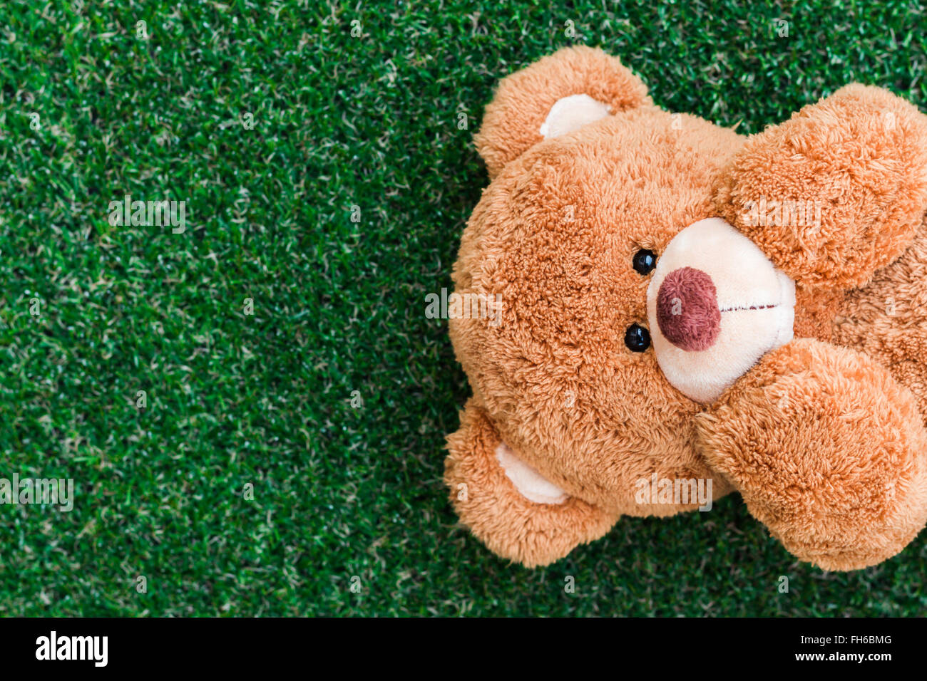 Cute teddy bear on green grass background Stock Photo - Alamy