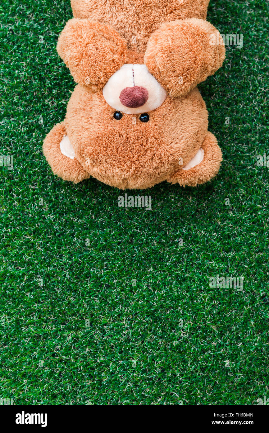 Cute teddy bear on green grass background Stock Photo - Alamy