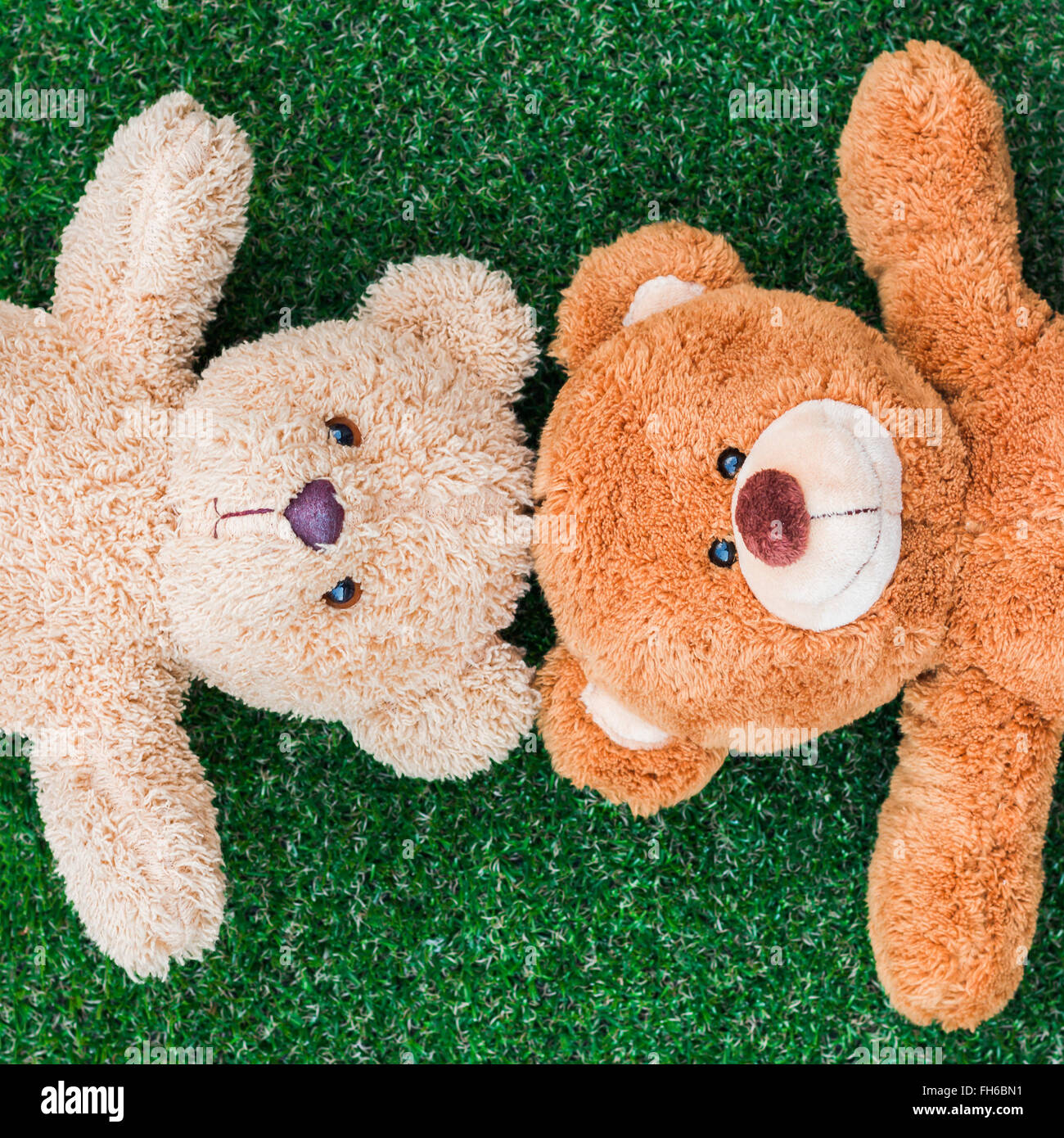 Cute teddy bears on green grass background Stock Photo Alamy
