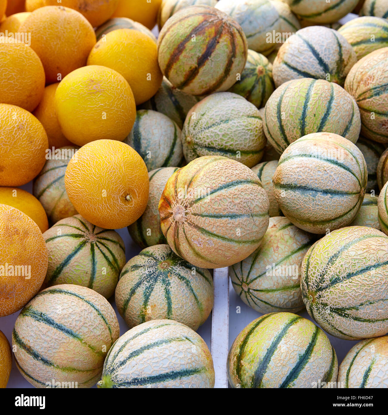 Cantaloupe and yellow melons at the marketplace stacked Stock Photo