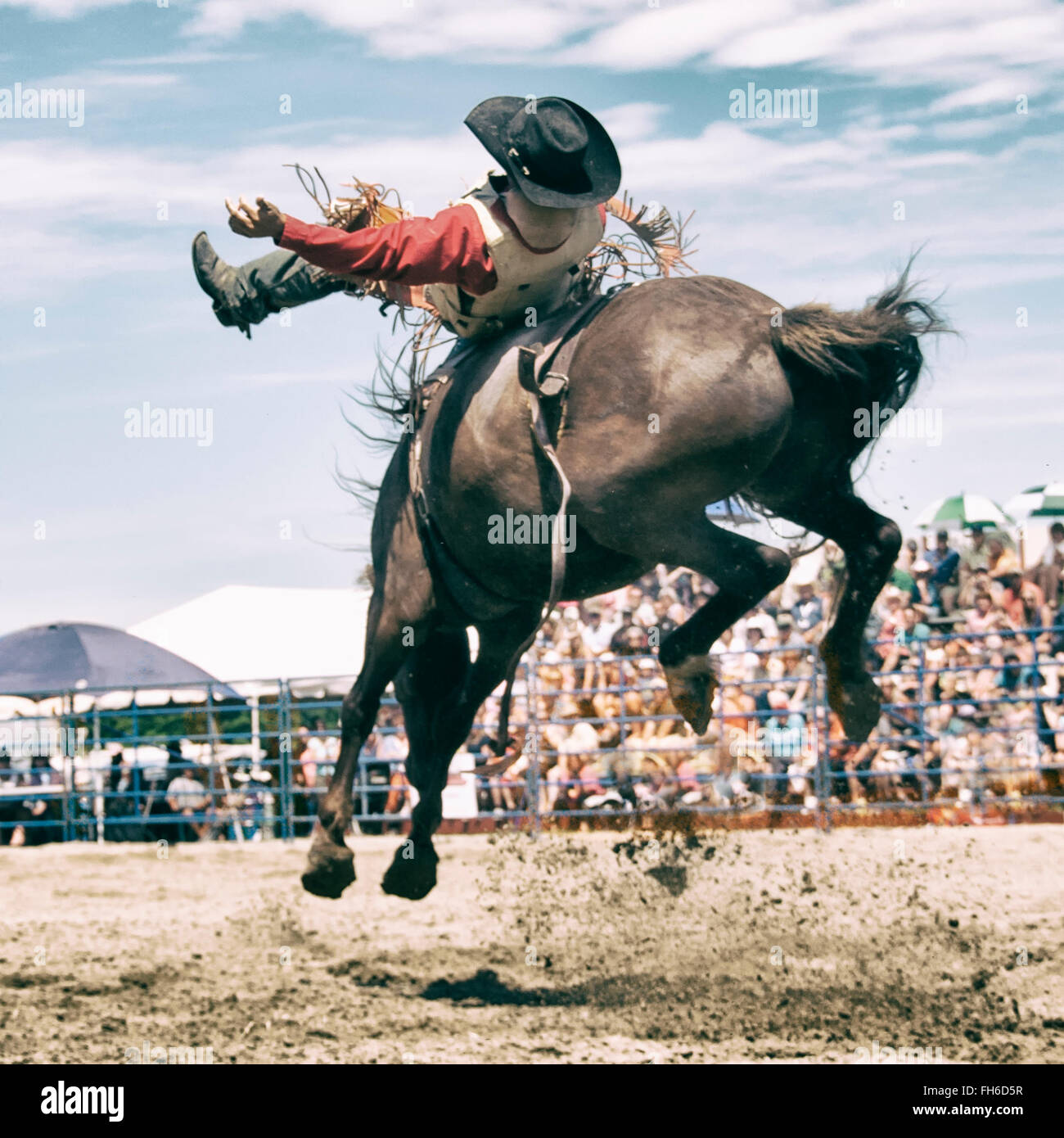 Bareback High Resolution Stock Photography and Images - Alamy