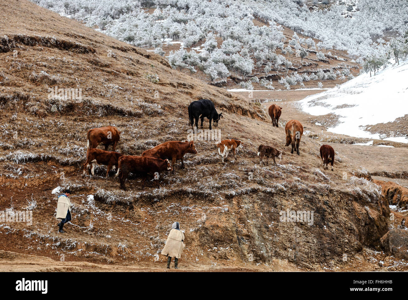 Zhaotong hires stock photography and images Alamy